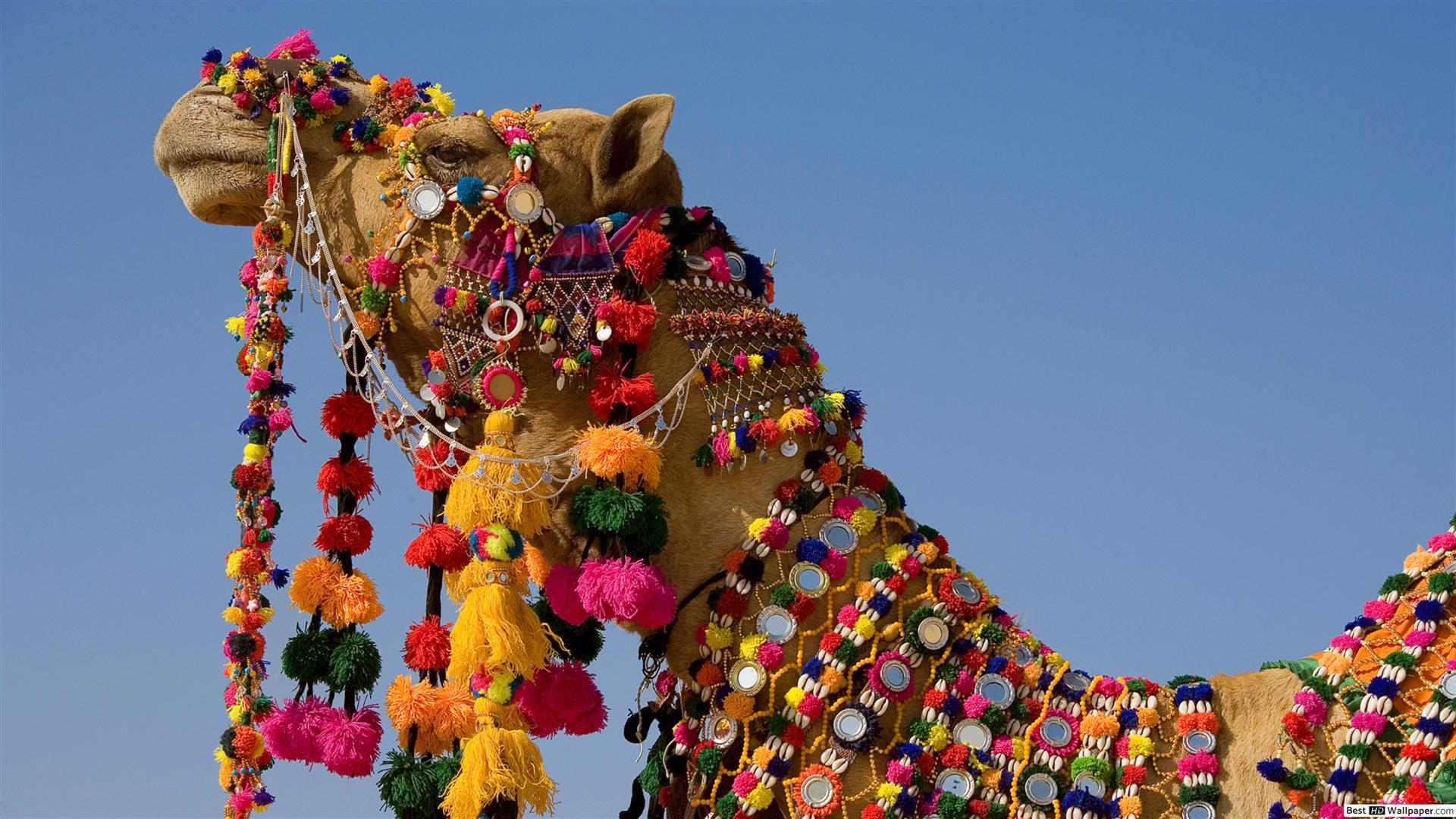 Golden Triangle with Pushkar Fair