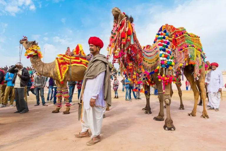 Rajasthan Tour Packages